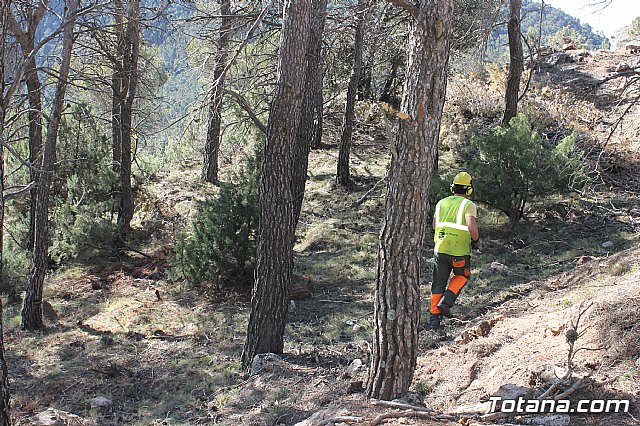 Prevencin de incendios forestales en Sierra Espua - 29