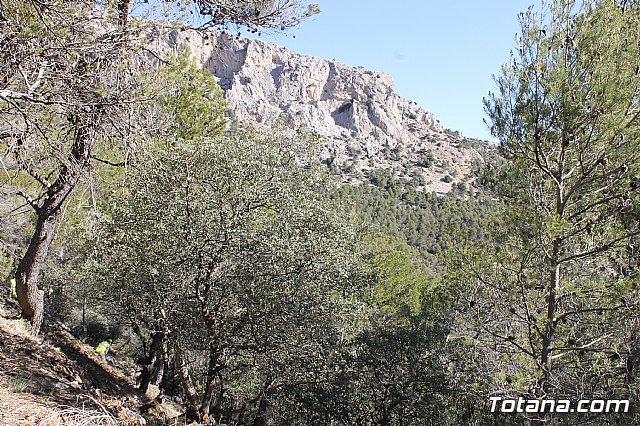 Prevencin de incendios forestales en Sierra Espua - 30