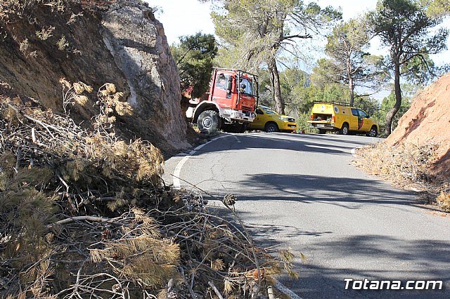 Prevencin de incendios forestales en Sierra Espua - 31