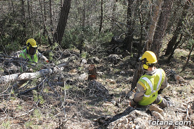 Prevencin de incendios forestales en Sierra Espua - 36
