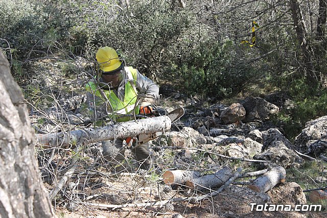 Prevencin de incendios forestales en Sierra Espua - 37