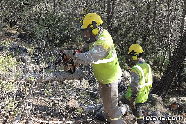 Prevencin de incendios forestales en Sierra Espua - 38