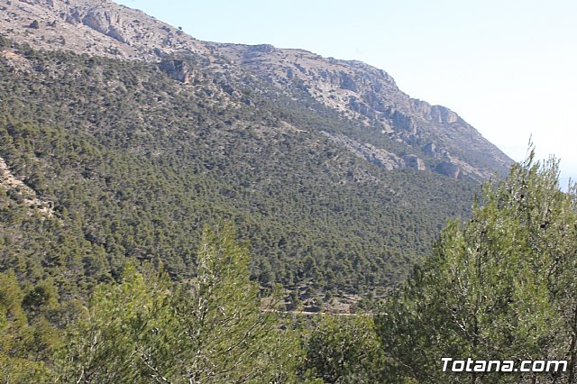 Prevencin de incendios forestales en Sierra Espua - 39