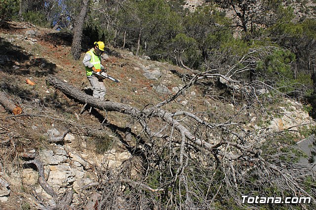 Prevencin de incendios forestales en Sierra Espua - 40