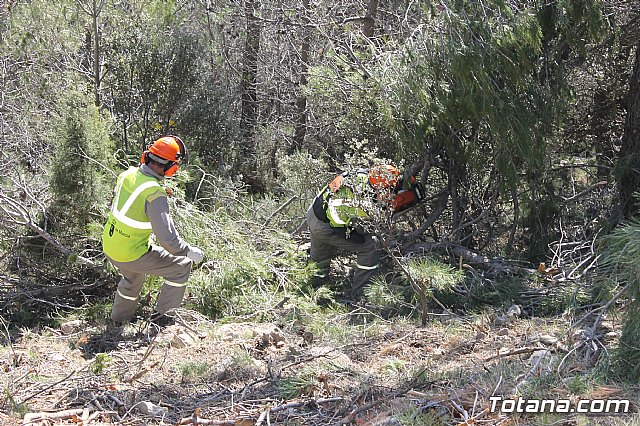 Prevencin de incendios forestales en Sierra Espua - 41