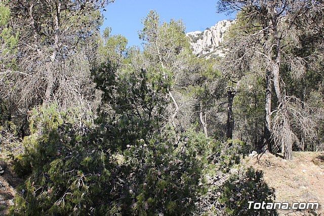 Prevencin de incendios forestales en Sierra Espua - 43