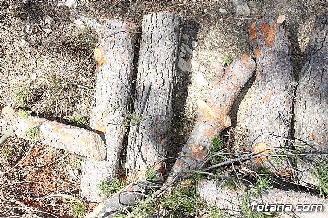 Prevencin de incendios forestales en Sierra Espua - 44