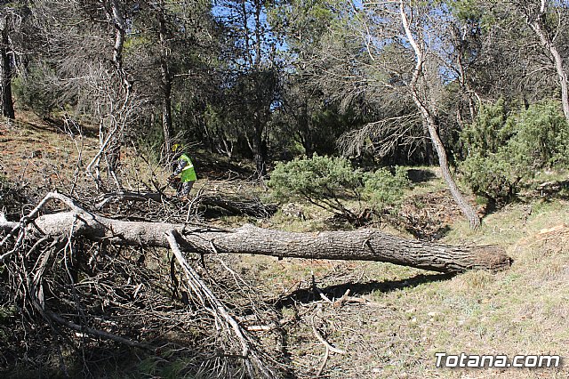 Prevencin de incendios forestales en Sierra Espua - 45