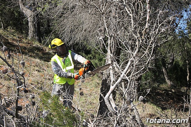 Prevencin de incendios forestales en Sierra Espua - 46