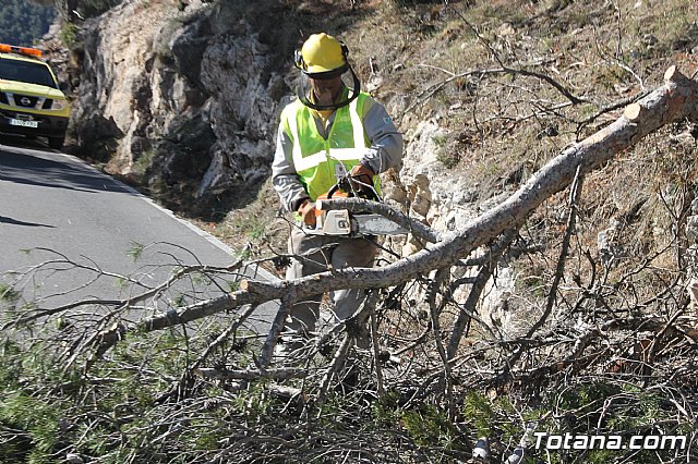 Prevencin de incendios forestales en Sierra Espua - 47