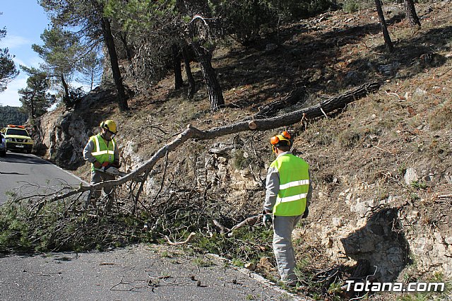 Prevencin de incendios forestales en Sierra Espua - 49