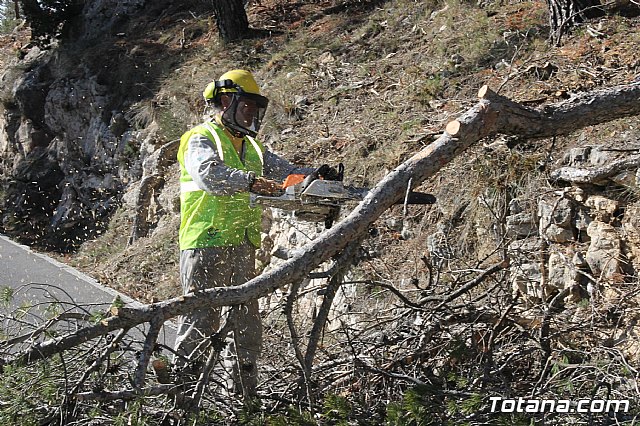 Prevencin de incendios forestales en Sierra Espua - 50