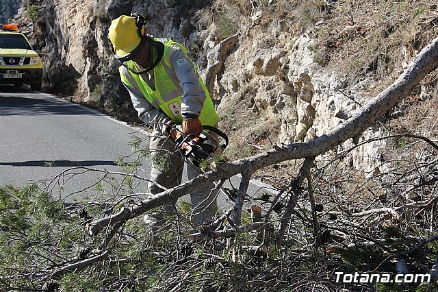 Prevencin de incendios forestales en Sierra Espua - 51