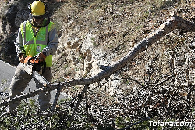 Prevencin de incendios forestales en Sierra Espua - 52