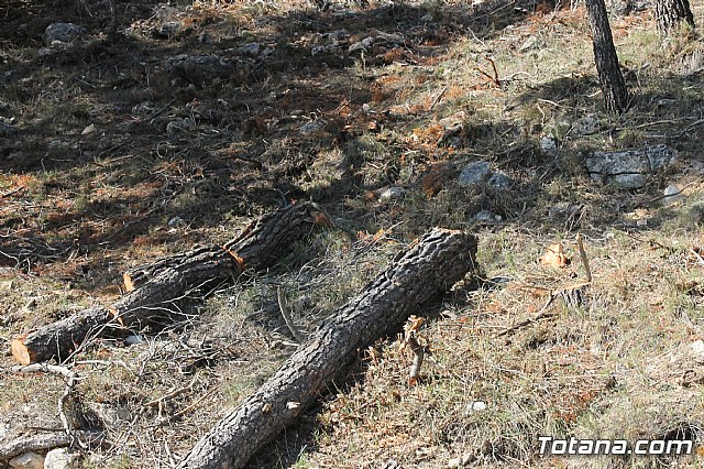 Prevencin de incendios forestales en Sierra Espua - 55