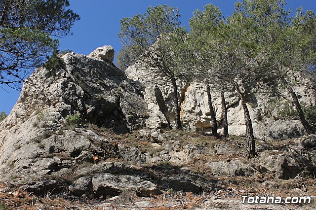 Prevencin de incendios forestales en Sierra Espua - 58