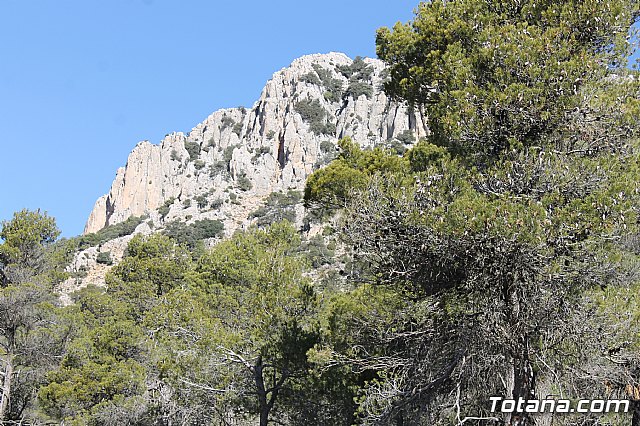 Prevencin de incendios forestales en Sierra Espua - 64