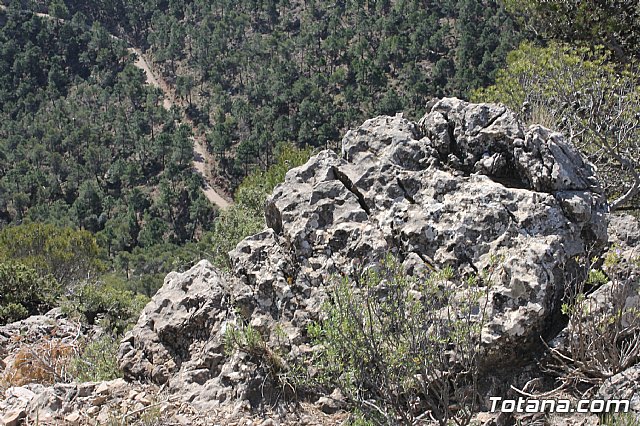 Prevencin de incendios forestales en Sierra Espua - 67