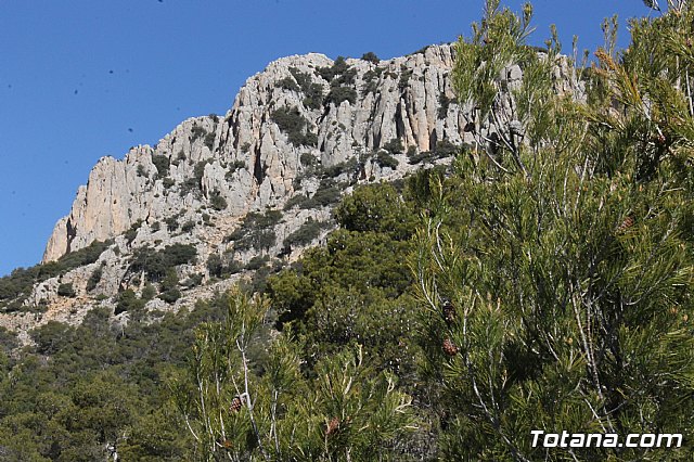 Prevencin de incendios forestales en Sierra Espua - 70