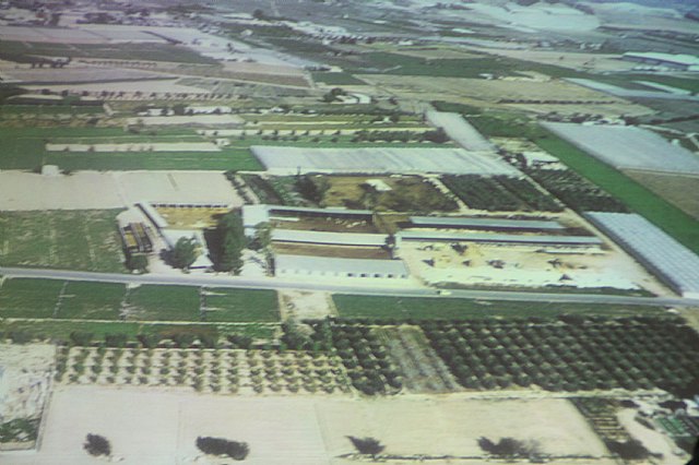 II Cena-Gala - Galardones Asociacin de Comerciantes de Totana - 97