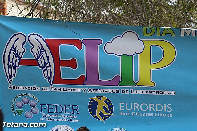 Da Mundial de las Lipodistrofias 2016 - 20