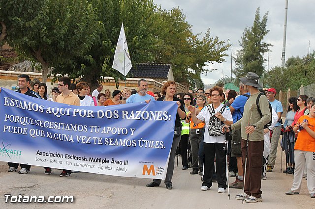 AEMA III organiz una Jornada de Convivencia, dirigido a afectados de Esclerosis Mltiple, familiares y amigos en Totana - 48