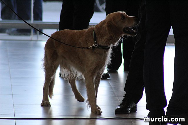Inauguracin Aeropuerto Internacional de la Regin de Murcia - 86