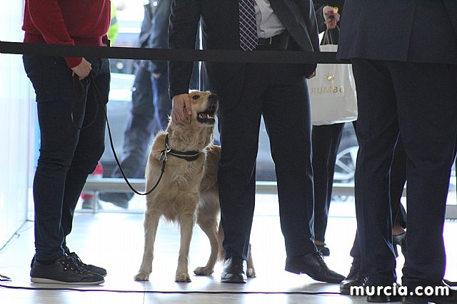 Inauguracin Aeropuerto Internacional de la Regin de Murcia - 87