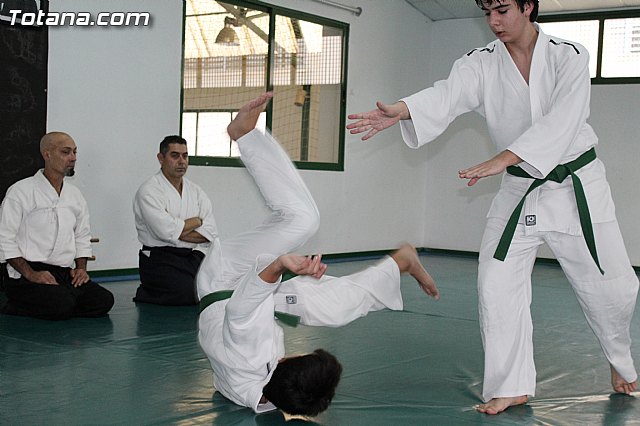 Curso de AIKIDO impartido por Miguel Baena - 7