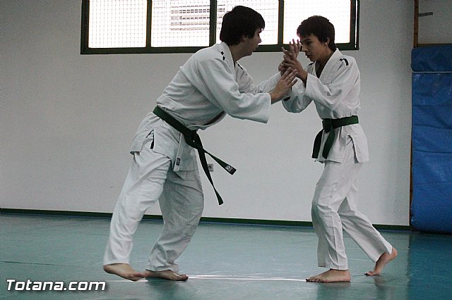 Curso de AIKIDO impartido por Miguel Baena - 13