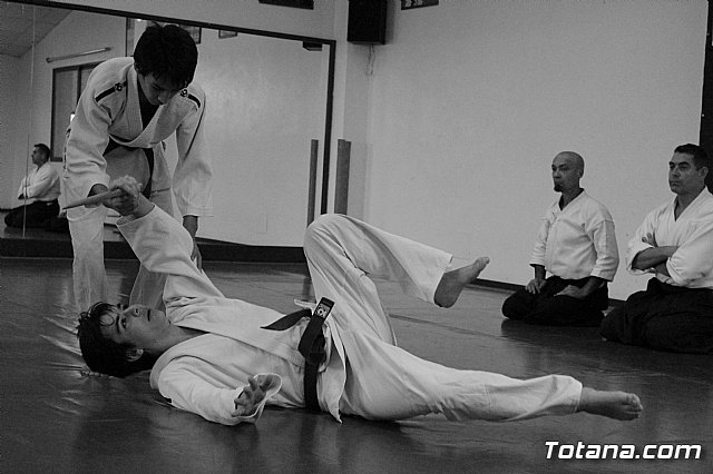 Curso de AIKIDO impartido por Miguel Baena - 23