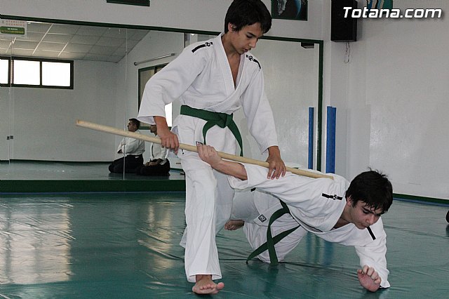 Curso de AIKIDO impartido por Miguel Baena - 28