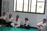 aikido