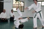 aikido