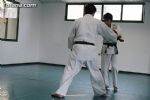 aikido