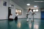 aikido