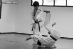 aikido