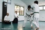 aikido