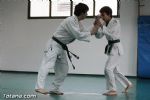 aikido