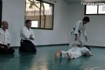 aikido