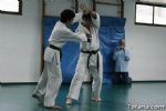 aikido