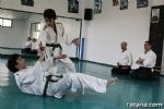 aikido