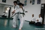 aikido