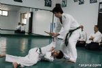 aikido