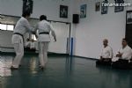 aikido