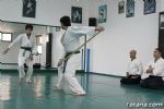 aikido