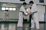 aikido