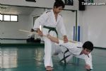 aikido