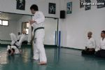 aikido