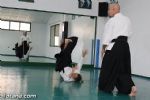 aikido